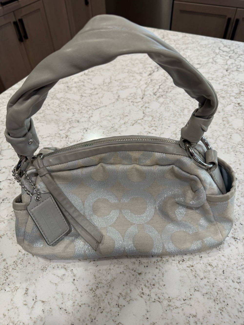 Coach Metallic Silver Signature Shoulder Bag